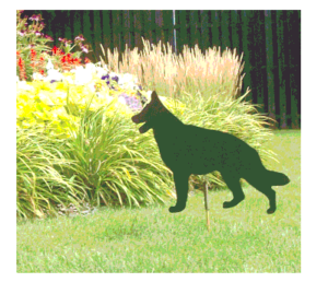 Watch Dog Goose Patrol