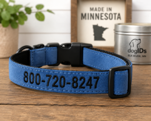 Personalized Embroidered Blue Suede Dog Collar