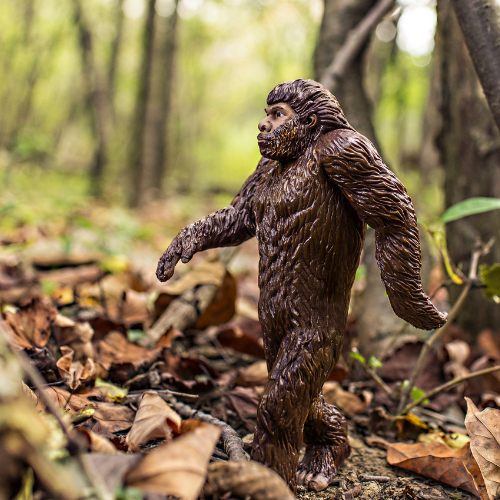 Bigfoot Farts
