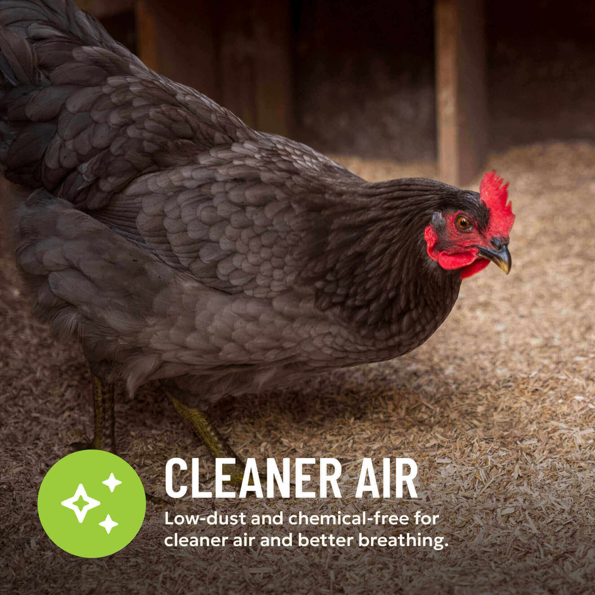 HempHurd Cleaner Air 6